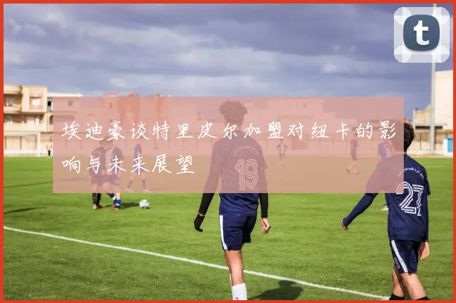 埃迪豪谈特里皮尔加盟对纽卡的影响与未来展望
