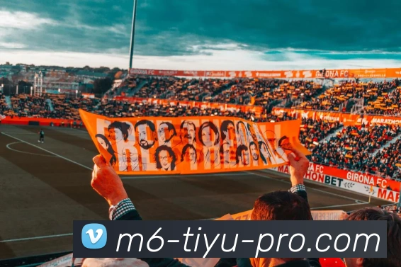 M6体育APP 高清赛事图